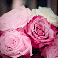 参加をする親族の持ち物